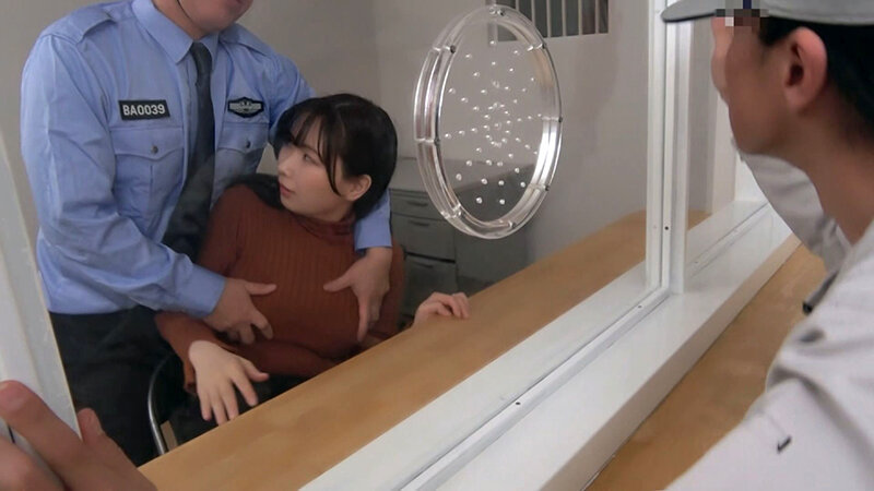 奪われた日常！崩れていく幸せな家庭！刑務官の性の捌け口にされた美人妻！繰り返される中出しセックス！/即ヌキ
